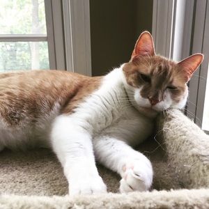 Meet your Posher, Kathryn